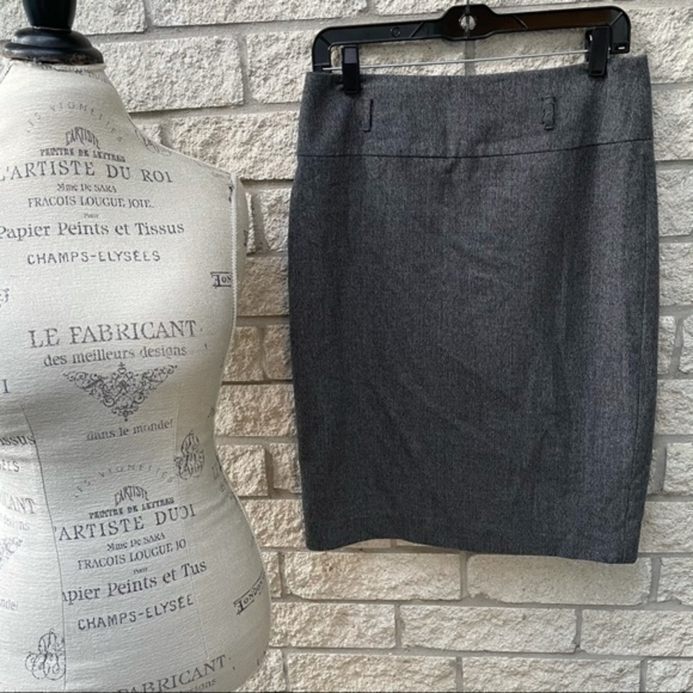 Dark Gray Skirt    PM4